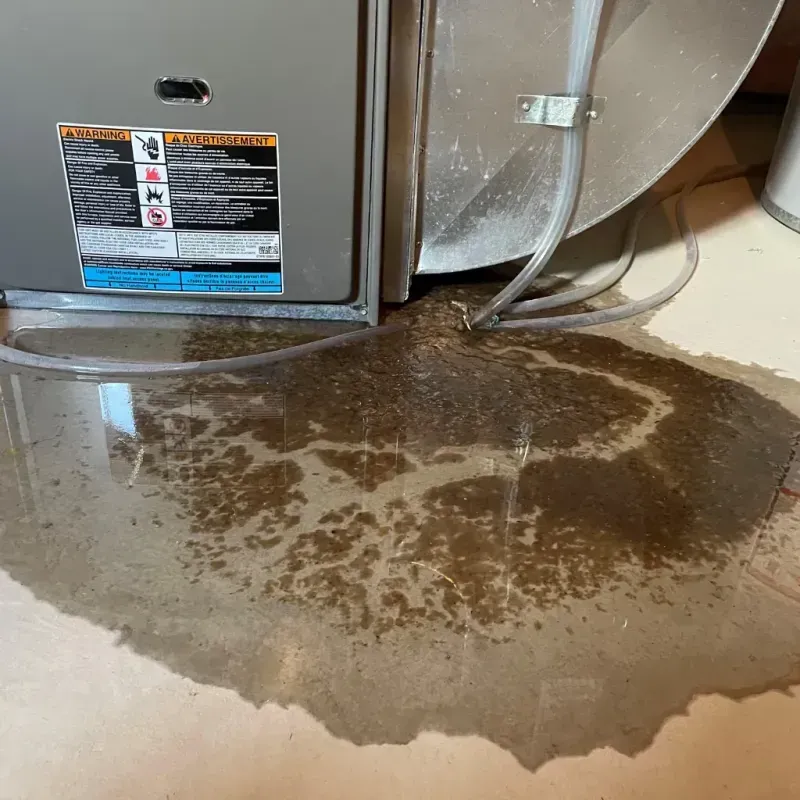 Appliance Leak Cleanup in South Beloit, IL